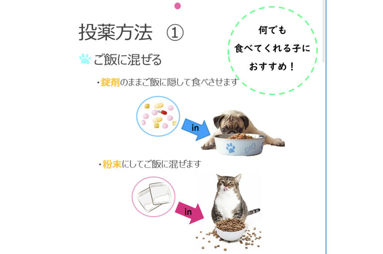 1F67E10B-369B-4812-9D3C-2E0B5D818533