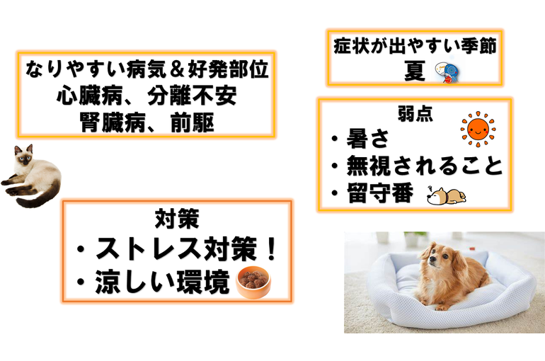 スライド14