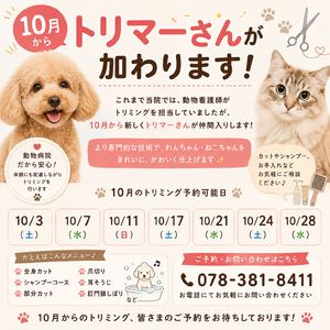 トリマーさんお知らせ