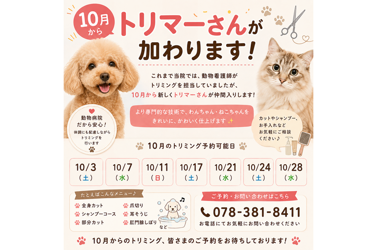 トリマーさんお知らせ